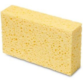 Nunc congue dui nec...