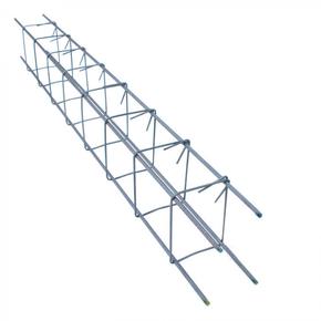 Nunc congue dui nec...