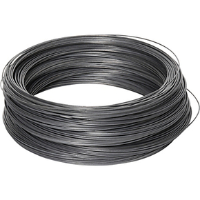 Nunc congue dui nec...