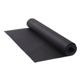 Nunc congue dui nec...