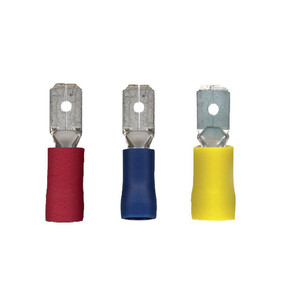 Nunc congue dui nec...