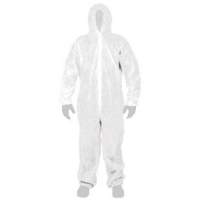 Nunc congue dui nec...