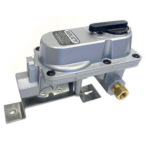 Nunc congue dui nec...