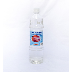 Nunc congue dui nec...