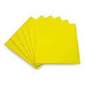 Nunc congue dui nec...