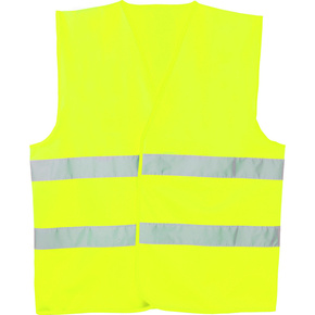 Nunc congue dui nec...