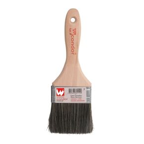 Nunc congue dui nec...