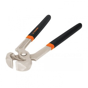 Nunc congue dui nec...