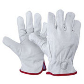 Nunc congue dui nec...